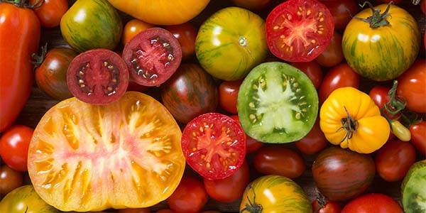 Sources, Functions and Applications of Lycopene