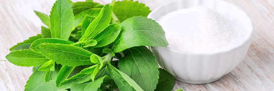 Exploring the application of steviol glycosides in food