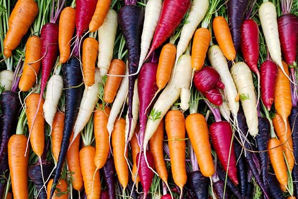 What is the difference between carotenoids and beta-carotene?