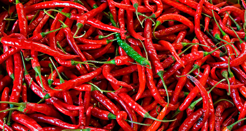 Food Additives of Chili Red