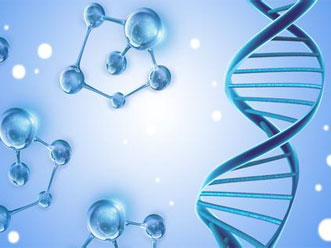 Food Additives Market Information Sharing 12-04