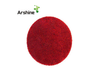 Market Information Sharing 12-11