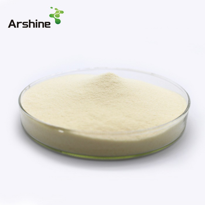 Soy Protein Concentrate CAS 9010-10-0