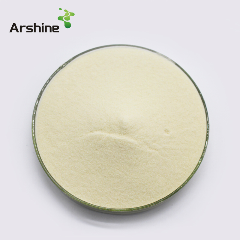 Soy Protein Isolate CAS 9010-10-0