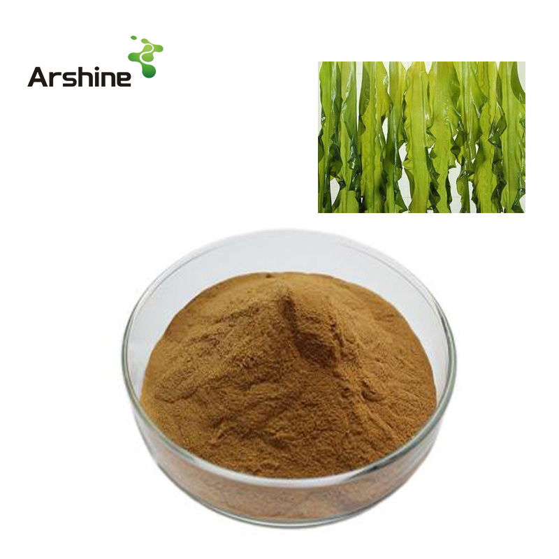 Fucoidan (Brown Seaweed extract)