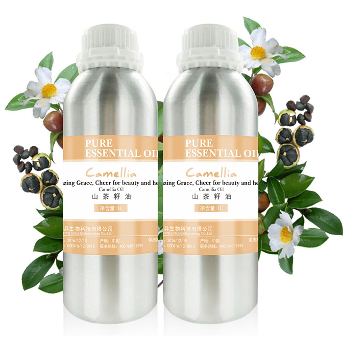 Camellia Seed Oil