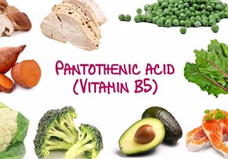 Main functions of pantothenic acid