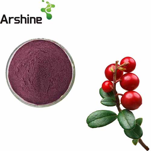 Bilberry Extract